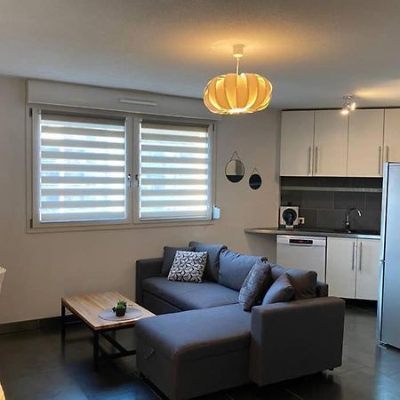 Apartament F2 Au Calme, Proche Gare, Center Parc, Sainte Croix Sarrebourg Zewnętrze zdjęcie